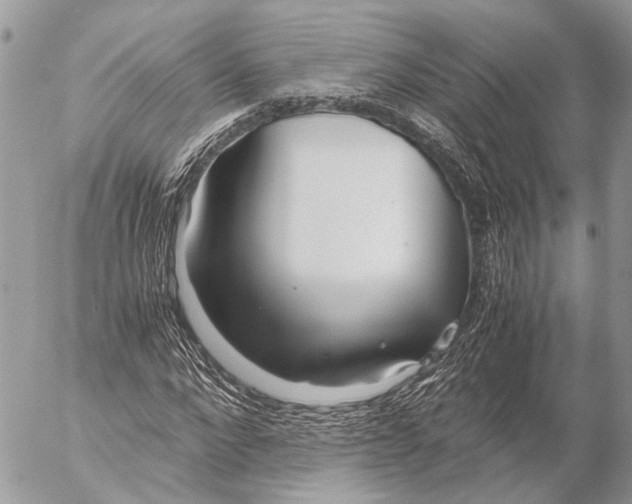 X0000053070872200508081217