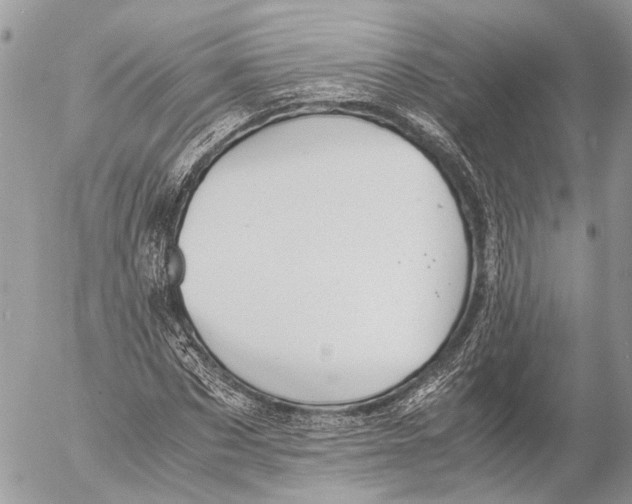 X0000053070873200508081217