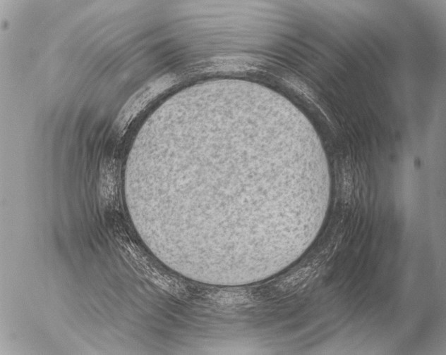 X0000053070874200508081217