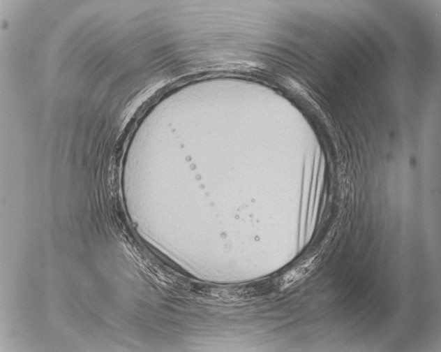 X0000053070875200508081217