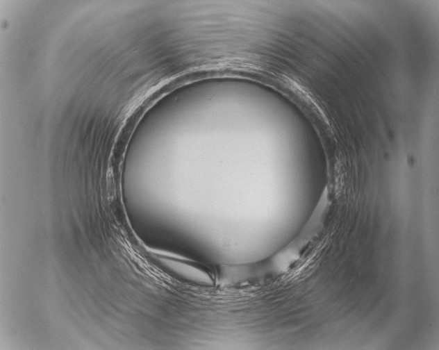 X0000053070876200508081217