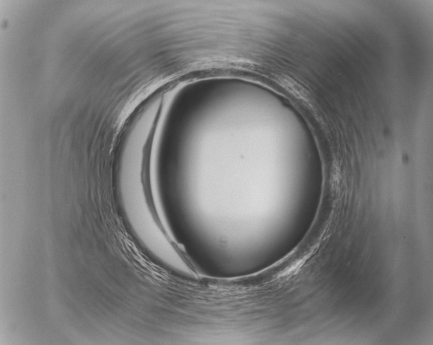 X0000053070877200508081217