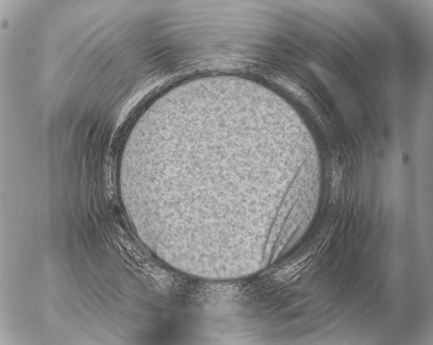 X0000053070878200508081217