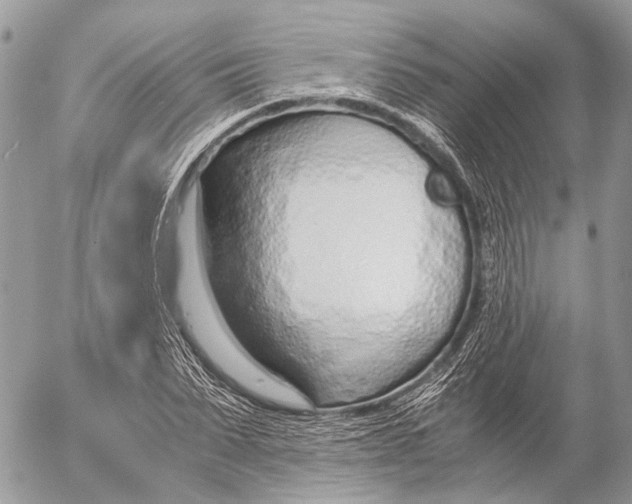 X0000053070879200508081217