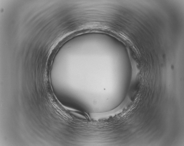 X0000053070880200508081217