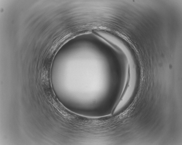 X0000053070881200508081217