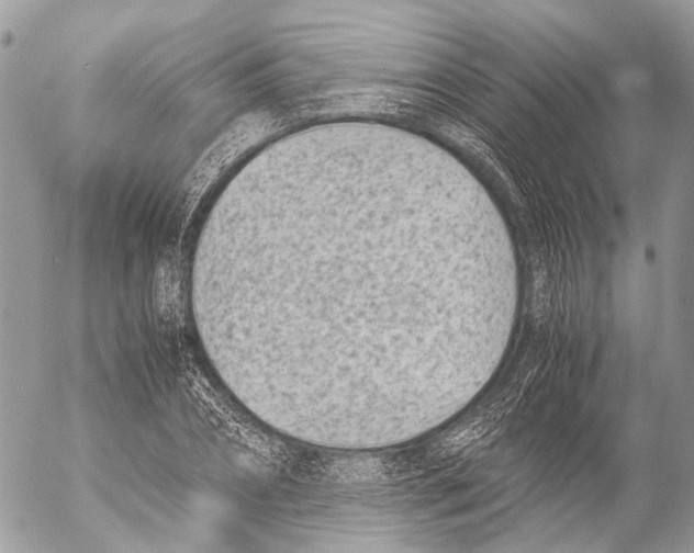 X0000053070882200508081217