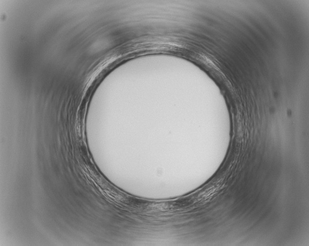 X0000053070883200508081217