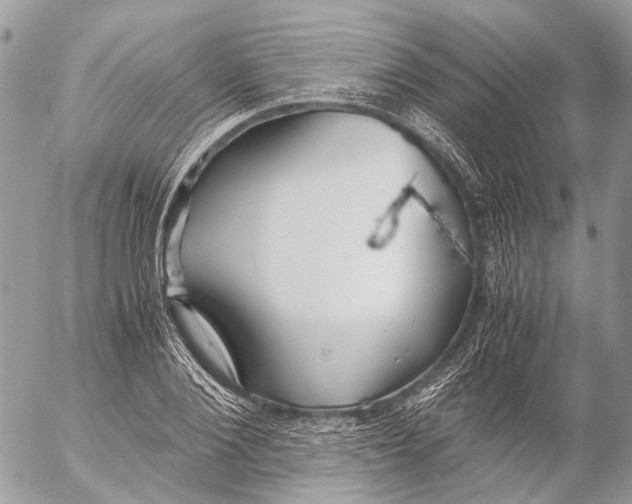 X0000053070884200508081217