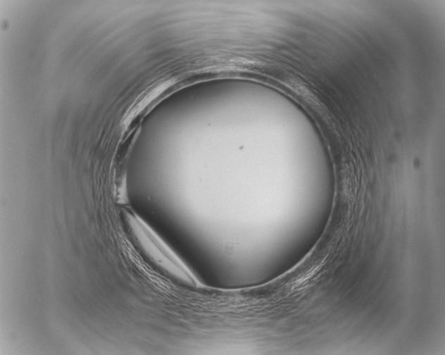 X0000053070885200508081217