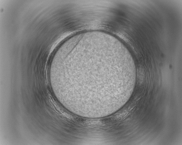 X0000053070886200508081217