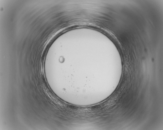 X0000053070887200508081217