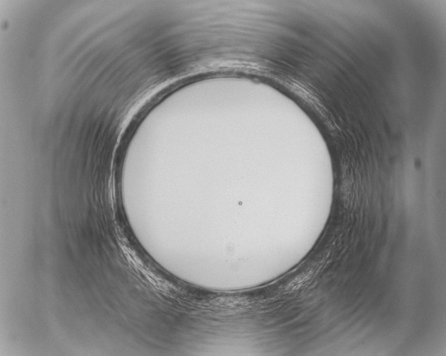 X0000053070888200508081217