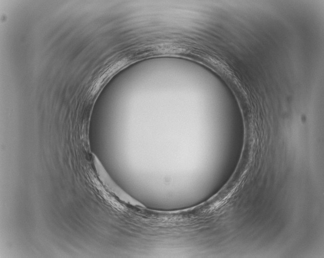 X0000053070889200508081217