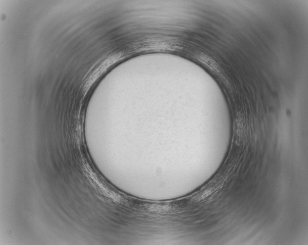 X0000053070890200508081217