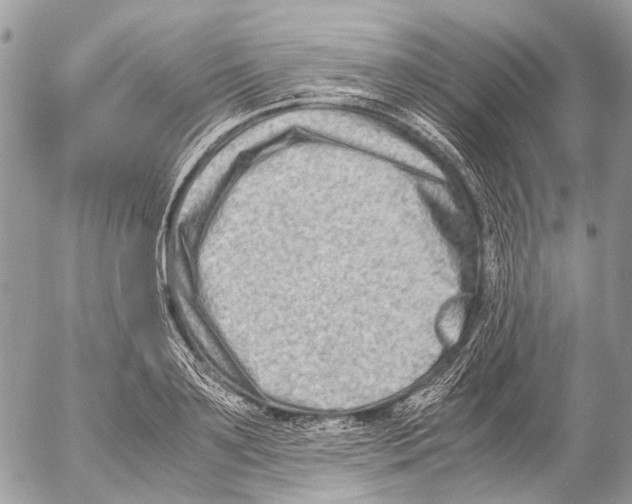 X0000053070891200508081217