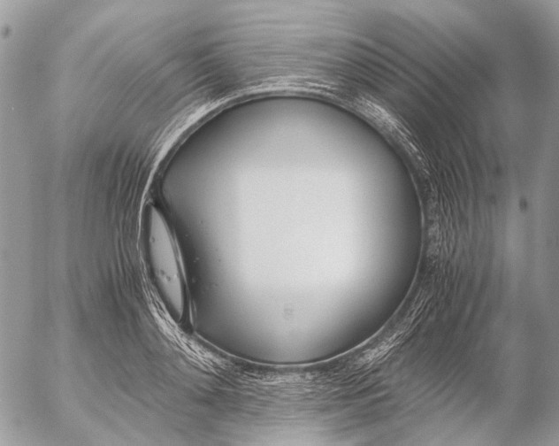 X0000053070892200508081217