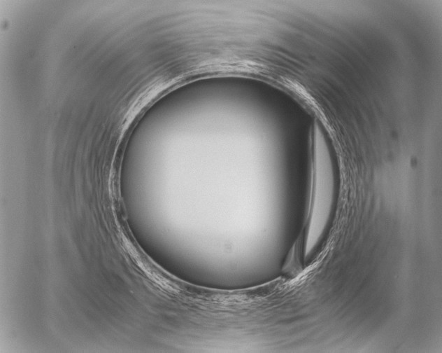 X0000053070893200508081217