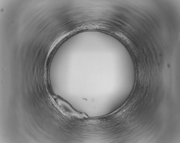 X0000053070894200508081217