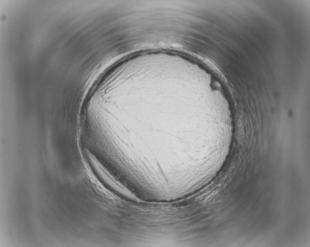 X0000053070895200508081217