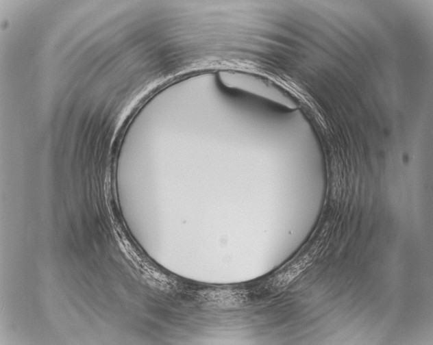 X0000053070896200508081217