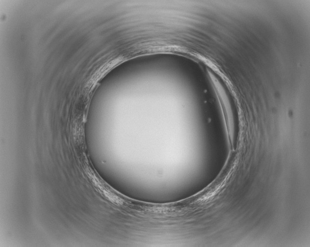 X0000053070897200508081217