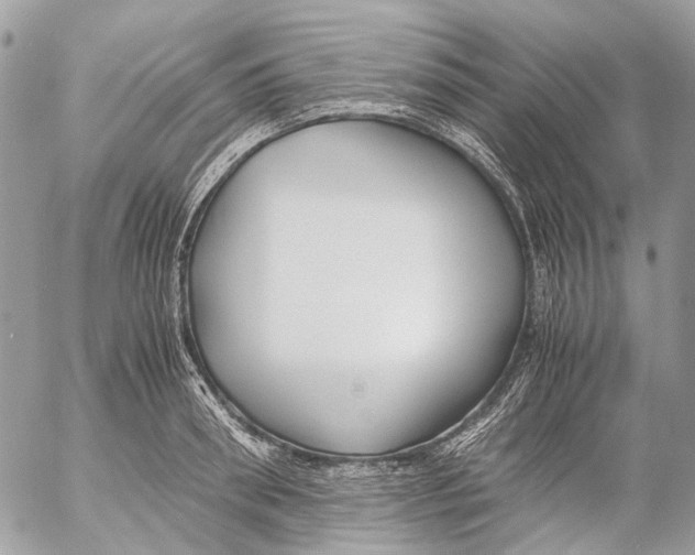 X0000053070898200508081217