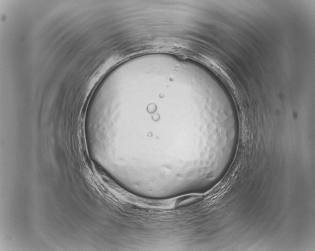 X0000053070899200508081217