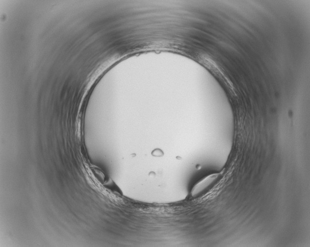 X0000053070900200508081217