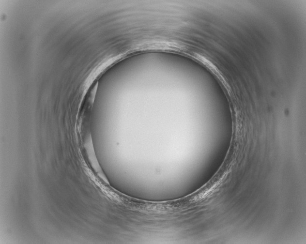 X0000053070901200508081217