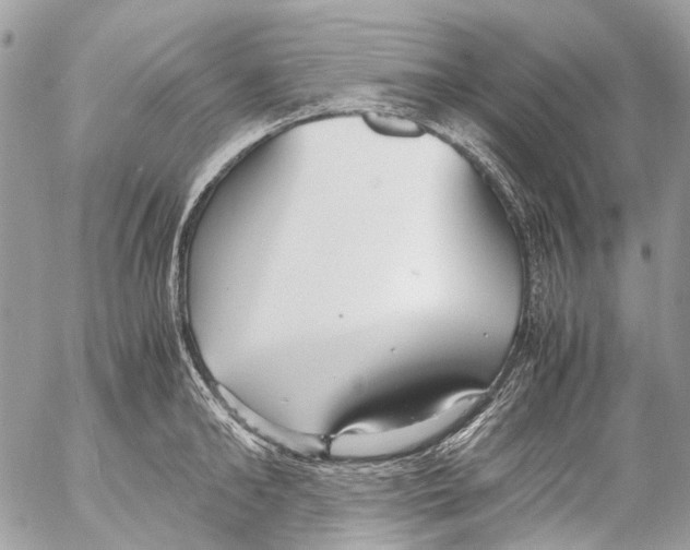 X0000053070902200508081217