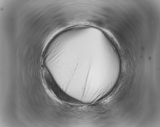 X0000053070903200508081217