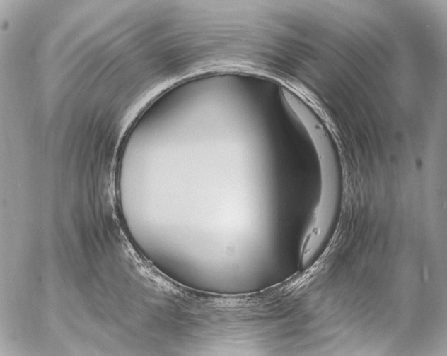 X0000053070904200508081217