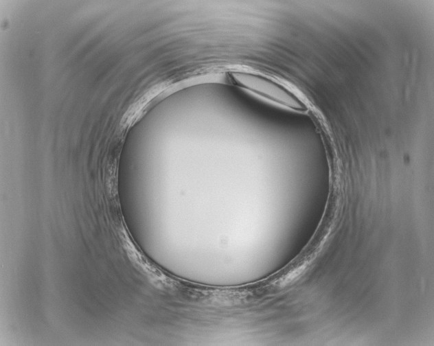 X0000053070905200508081216