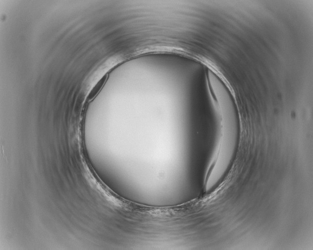 X0000053070906200508081216