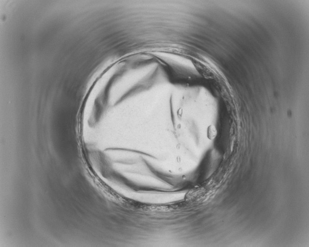 X0000053070907200508081216