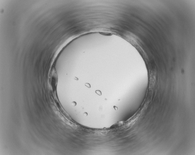 X0000053070908200508081216