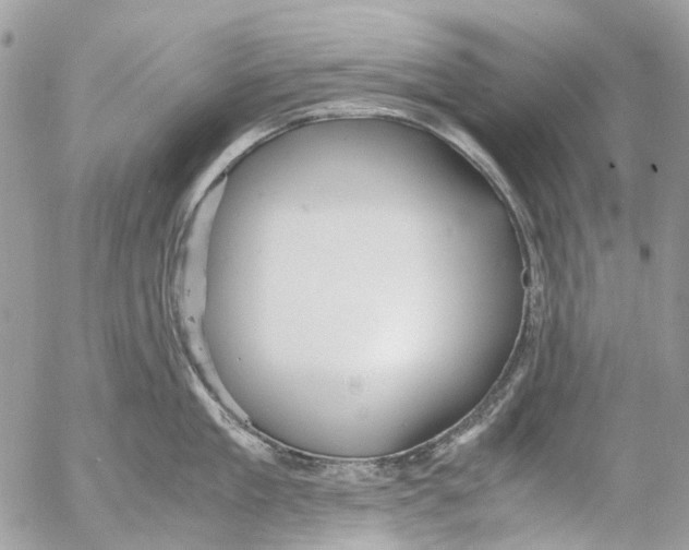 X0000053070909200508081216