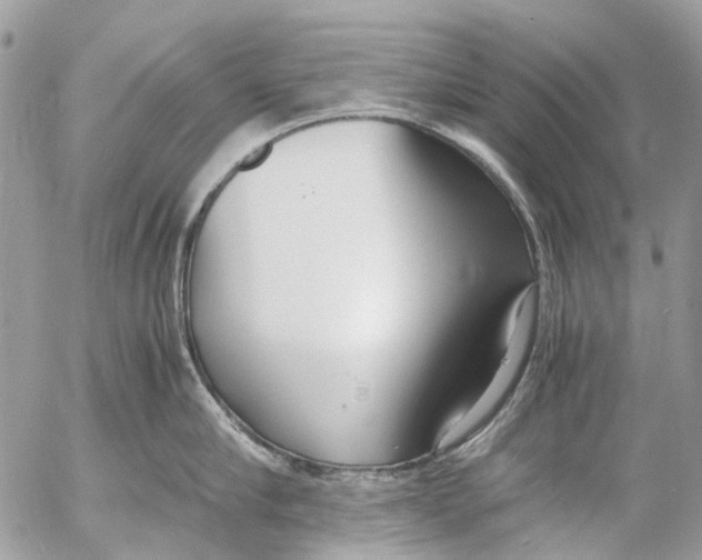 X0000053070910200508081216