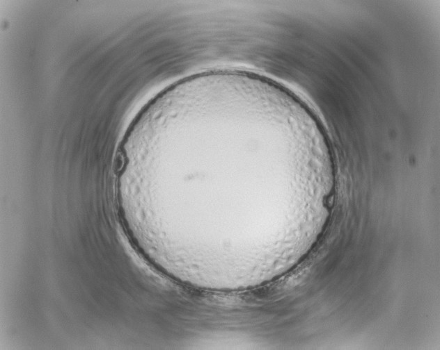 X0000053070911200508081216