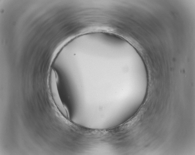 X0000053070912200508081216