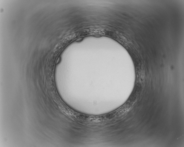 X0000053070913200508081215