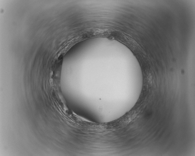 X0000053070914200508081216