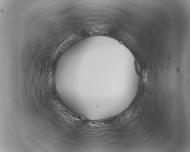 X0000053070915200508081216