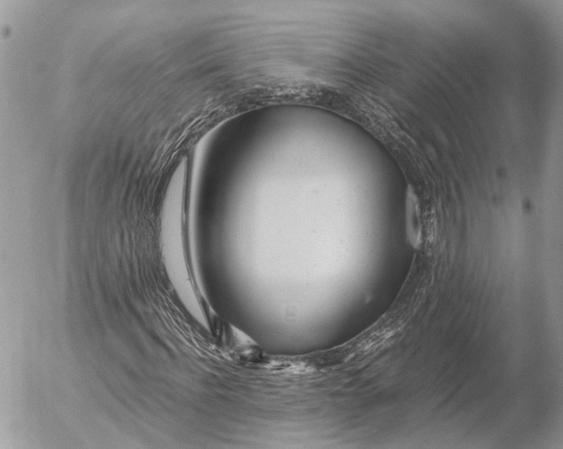 X0000053070916200508081216