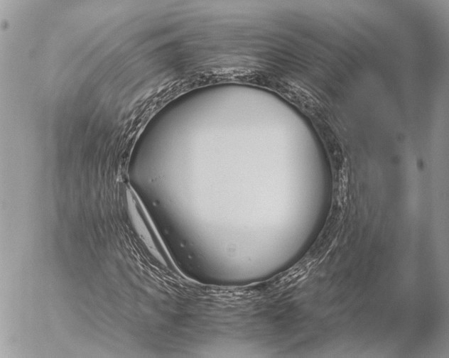 X0000053070917200508081216