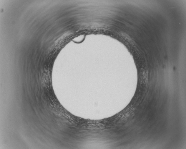 X0000053070918200508081216