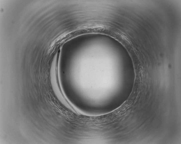 X0000053070920200508081216