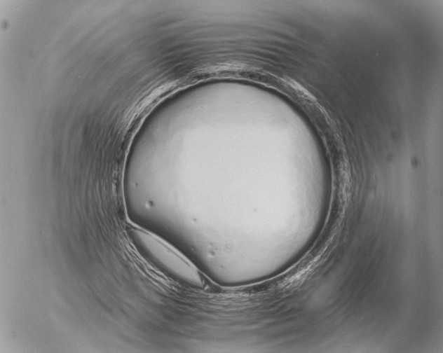 X0000053070921200508081216