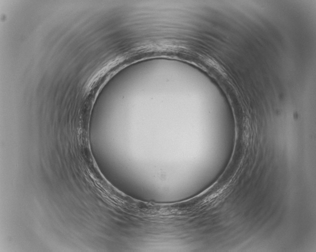 X0000053070922200508081216